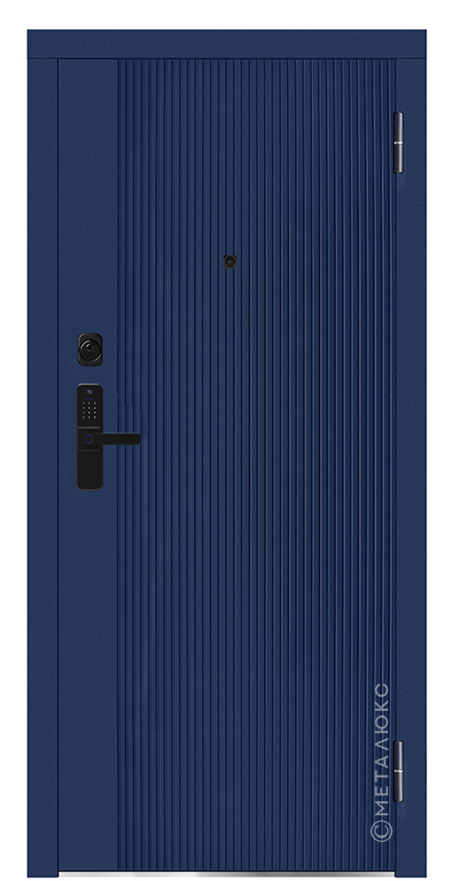 Входная дверь 