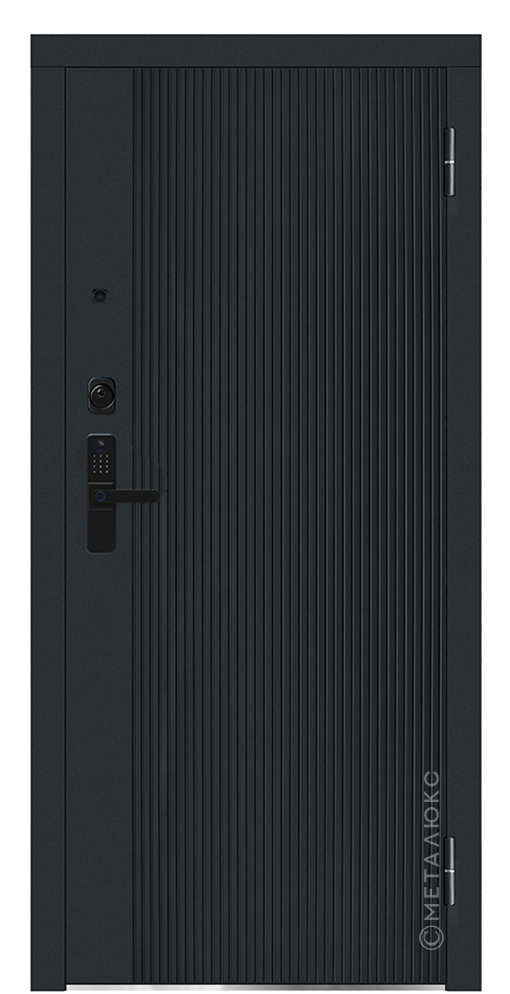 Входная дверь 