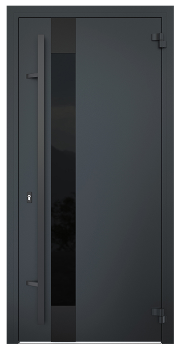 Входная дверь 