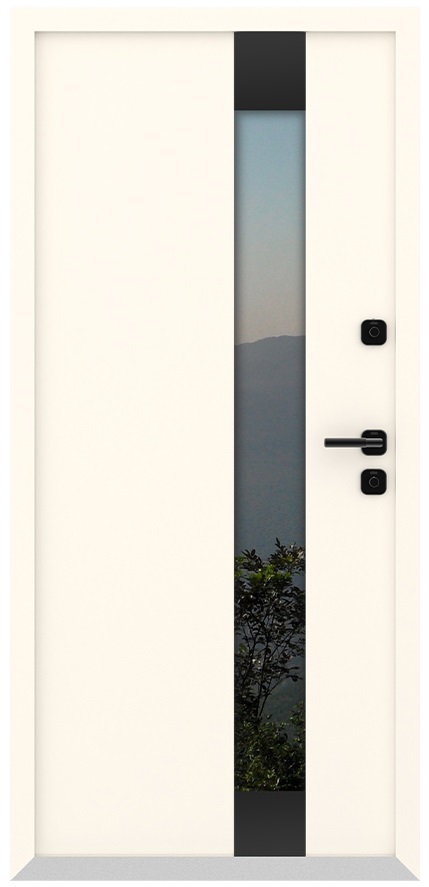 Входная дверь 