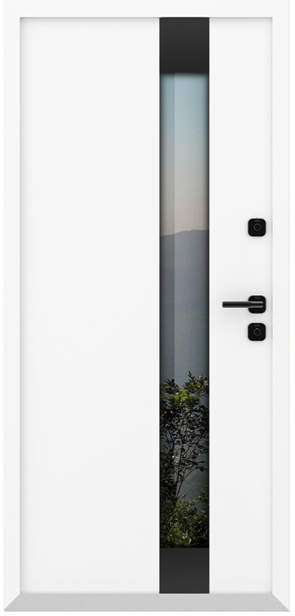 Входная дверь 