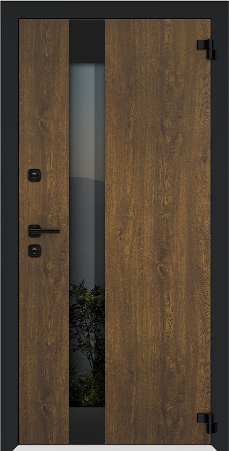 Входная дверь 
