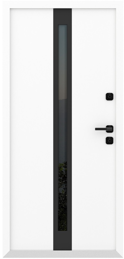 Входная дверь 