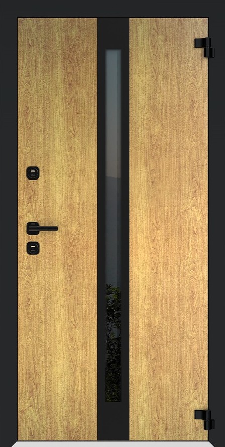 Входная дверь 