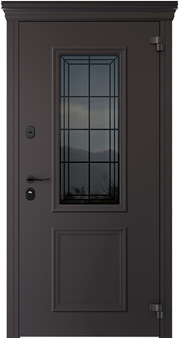 Входная дверь 