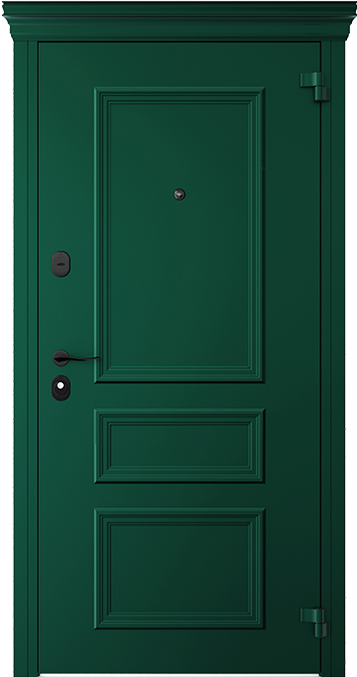 Входная дверь 