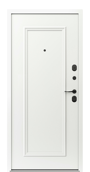 Входная дверь 