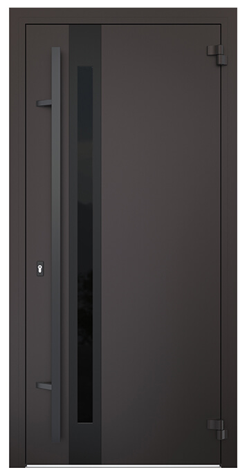 Входная дверь 