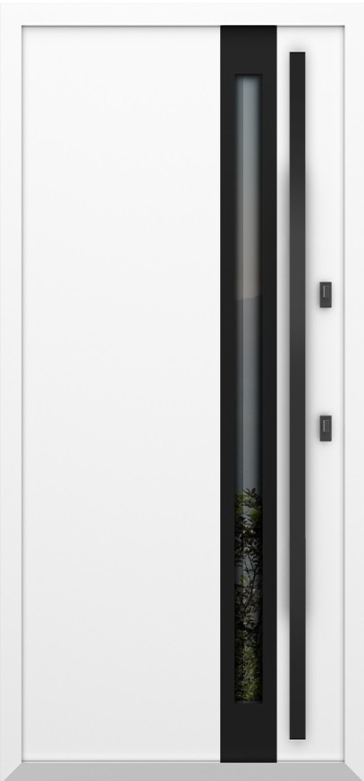 Входная дверь 