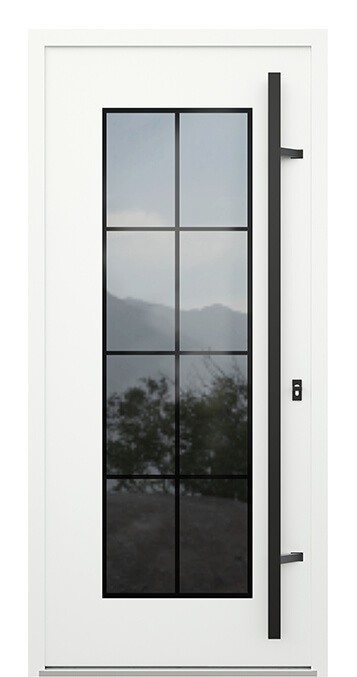 Входная дверь 