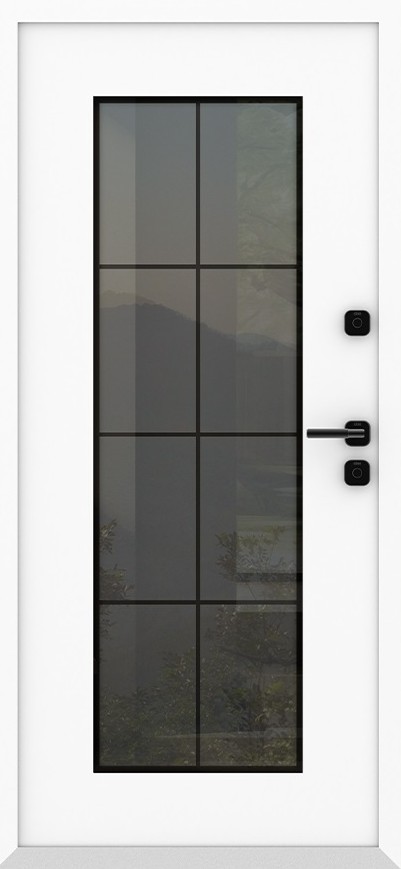 Входная дверь 