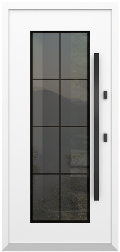 Входная дверь 