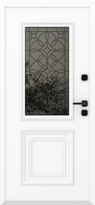 Входная дверь 
