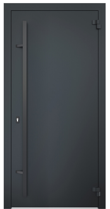 Входная дверь 