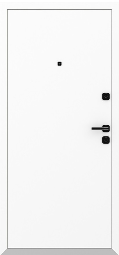 Входная дверь 