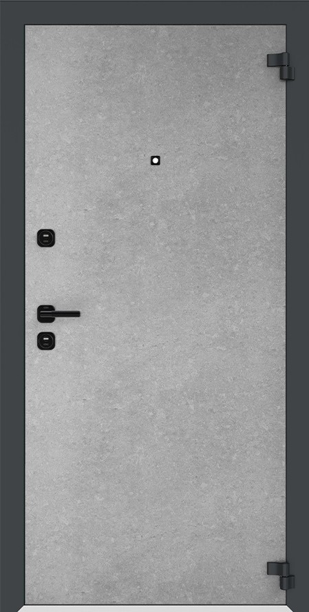 Входная дверь 