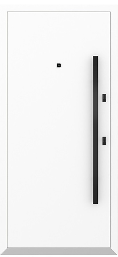 Входная дверь 