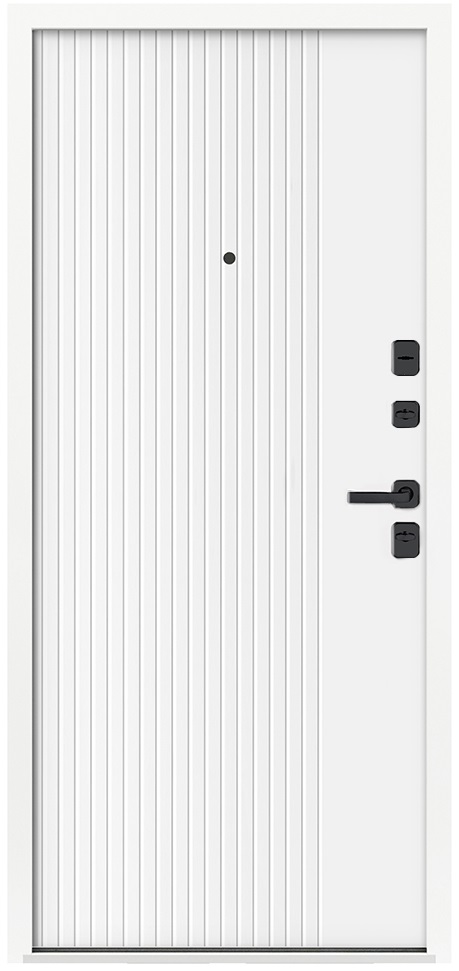 Входная дверь 