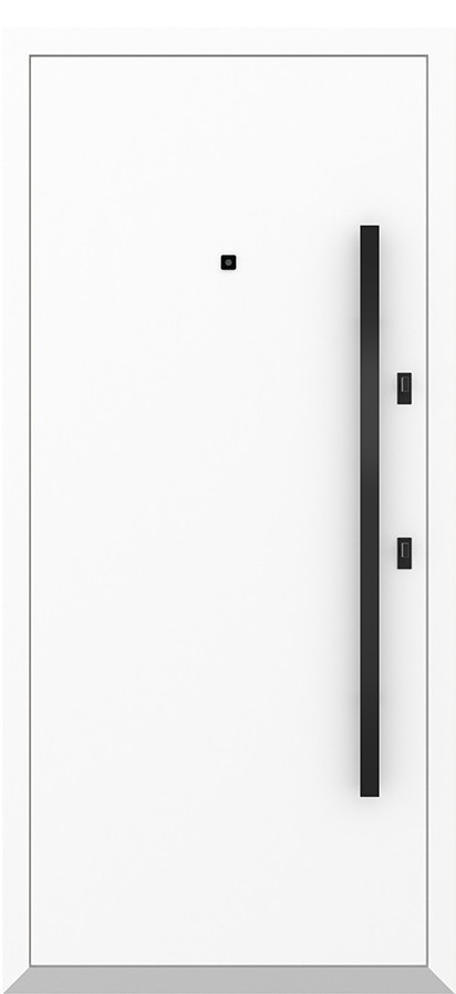 Входная дверь 