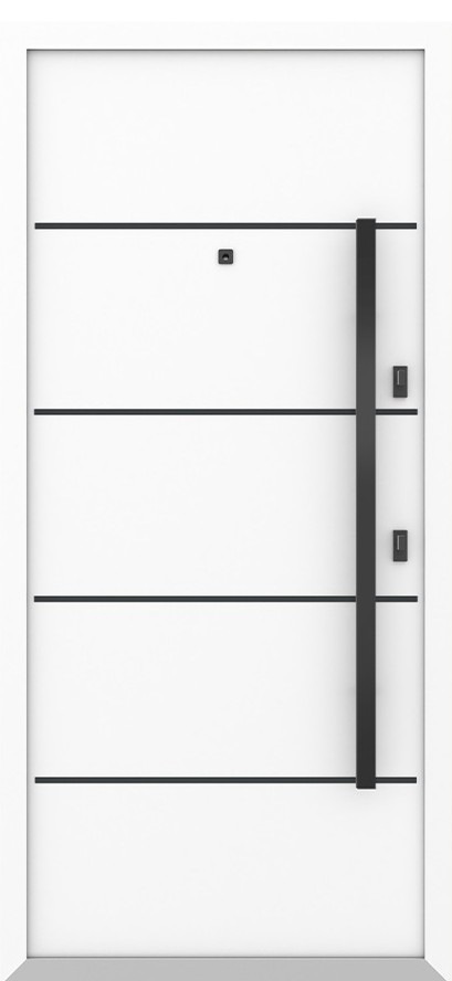 Входная дверь 