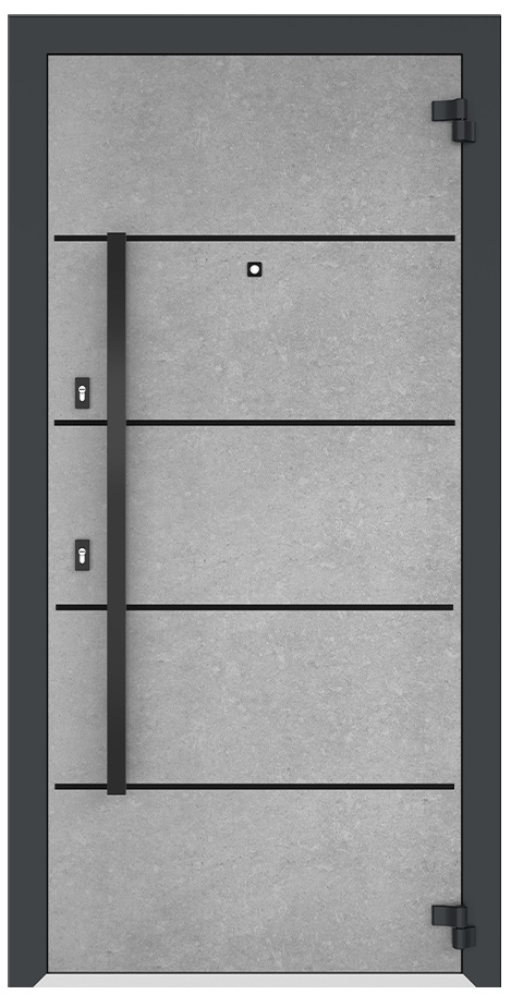 Входная дверь 