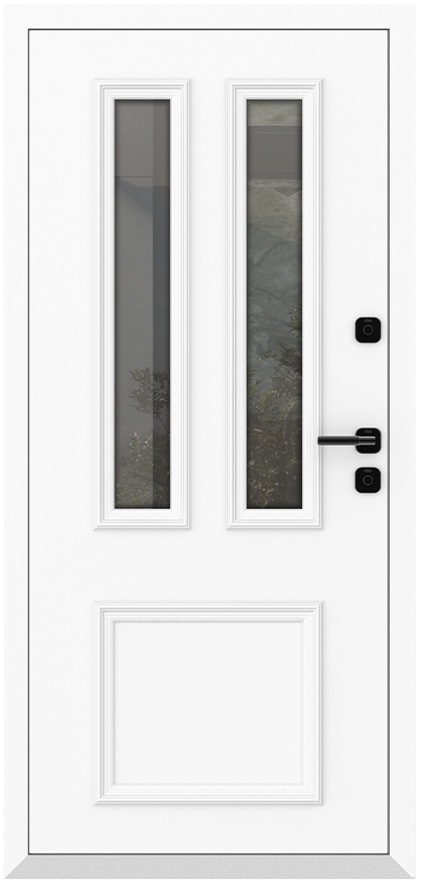 Входная дверь 