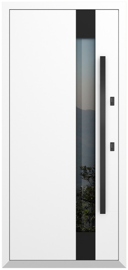 Входная дверь 