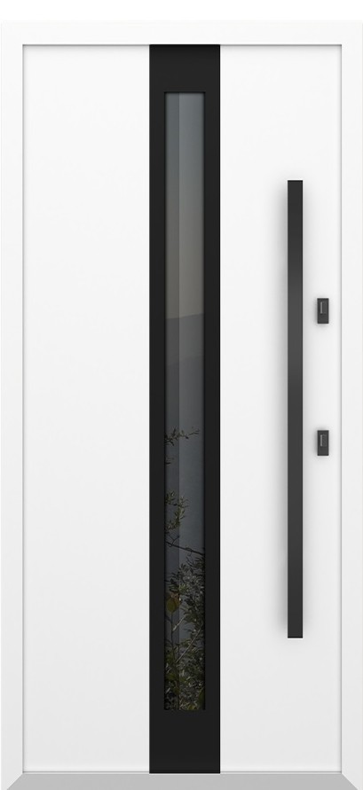 Входная дверь 