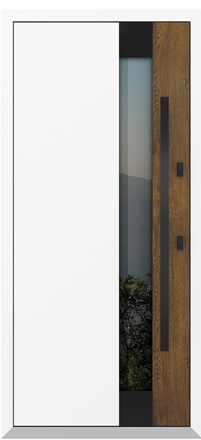 Входная дверь 