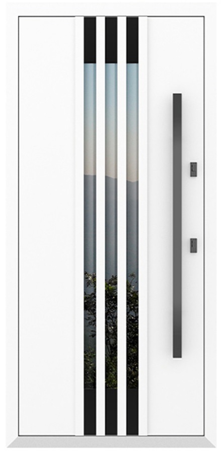 Входная дверь 