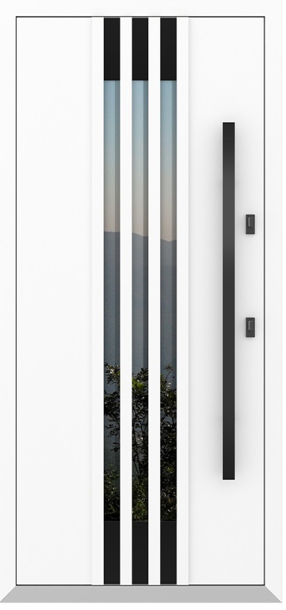 Входная дверь 