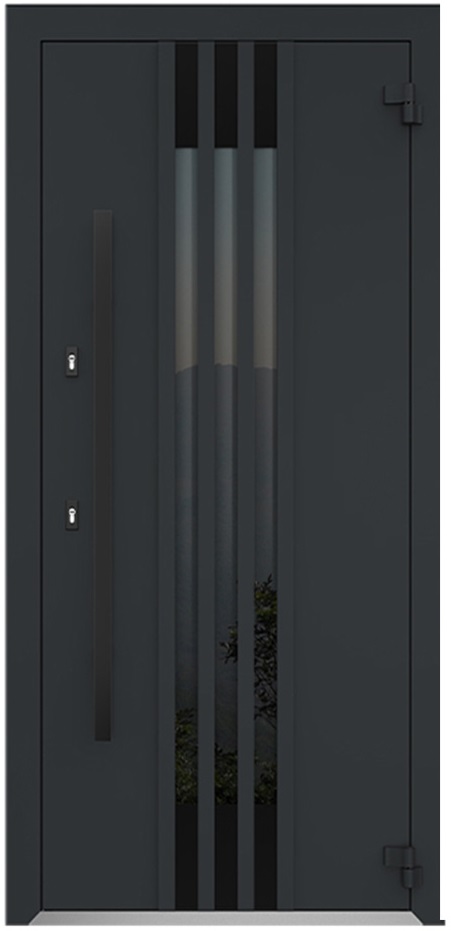 Входная дверь 