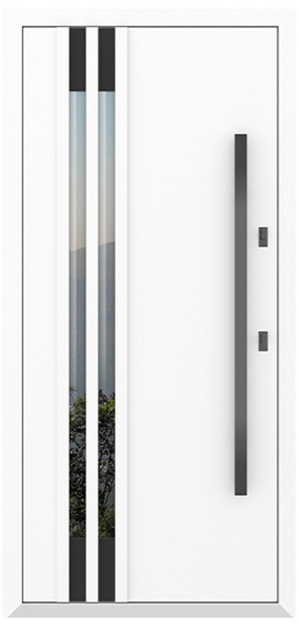 Входная дверь 