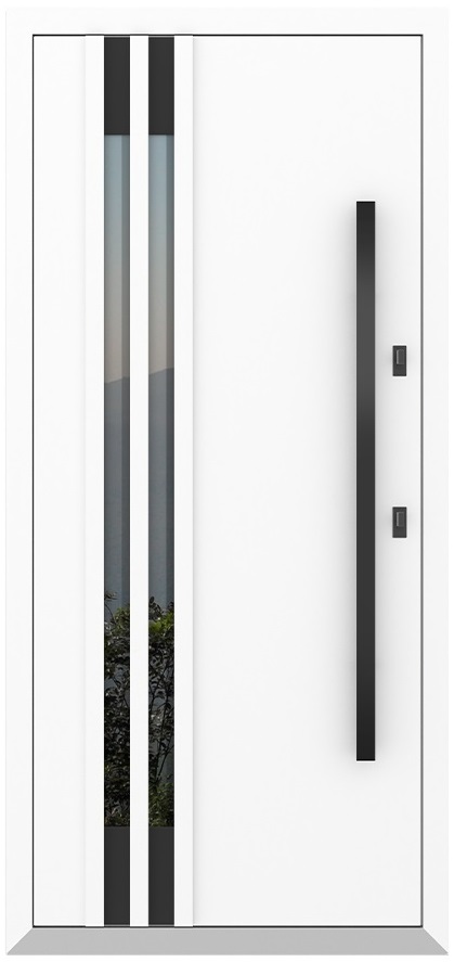 Входная дверь 