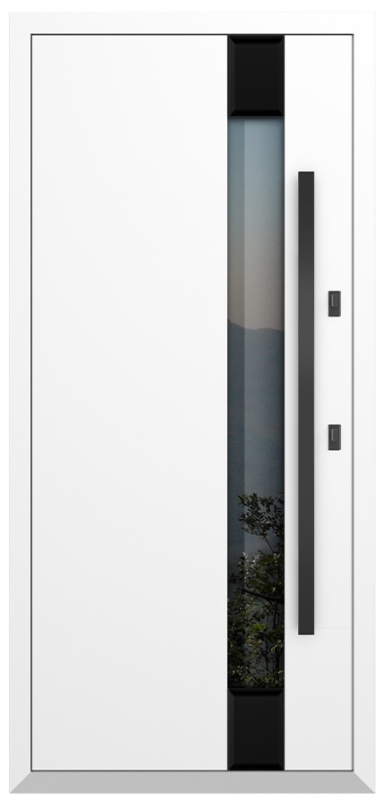 Входная дверь 