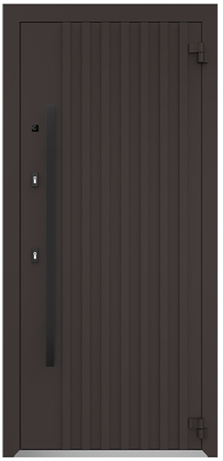 Входная дверь 