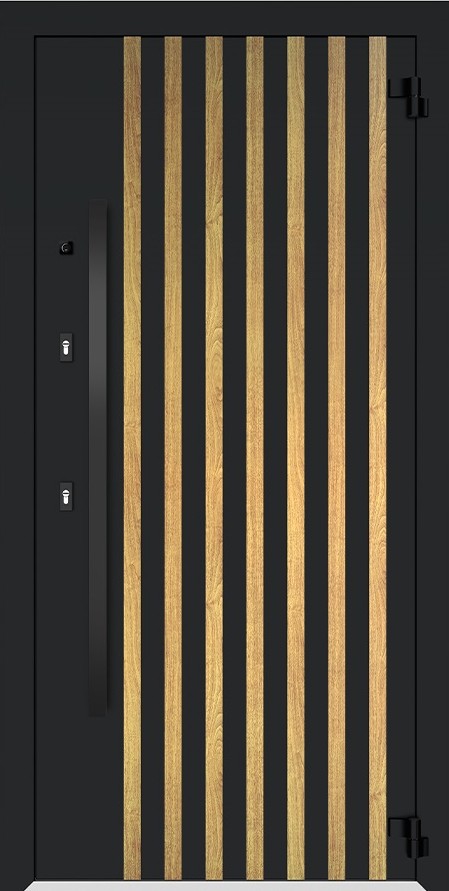 Входная дверь 