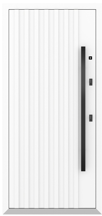 Входная дверь 