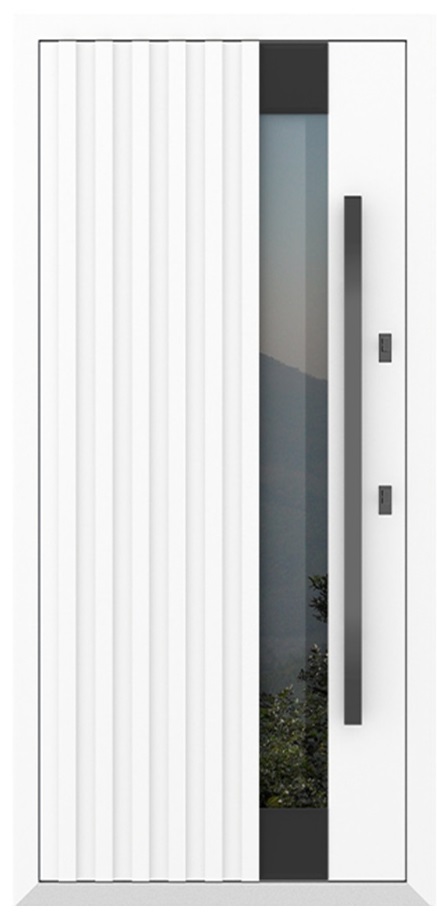 Входная дверь 