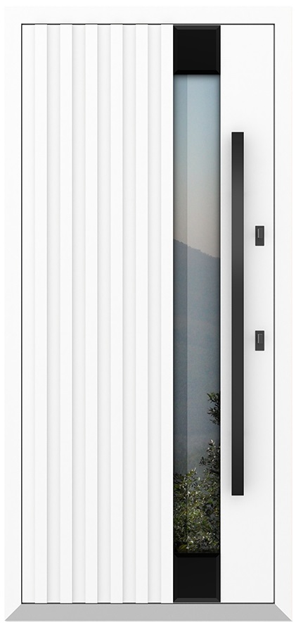 Входная дверь 