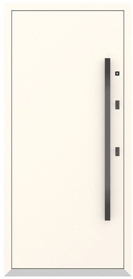 Входная дверь 