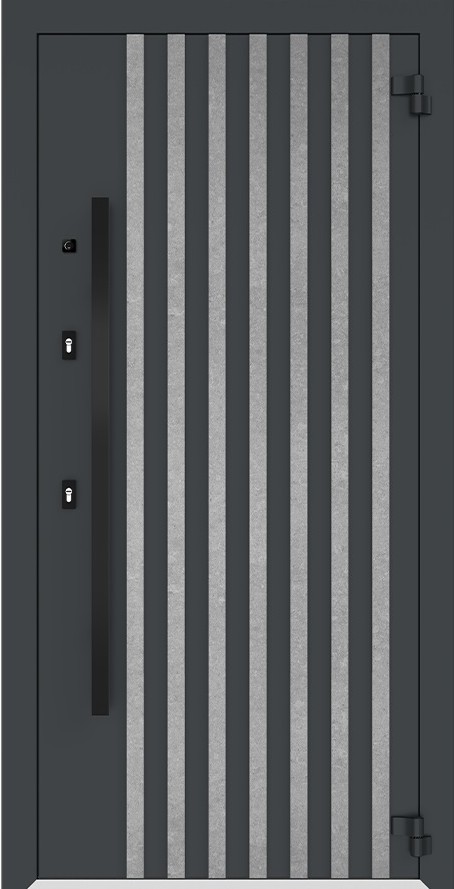 Входная дверь 