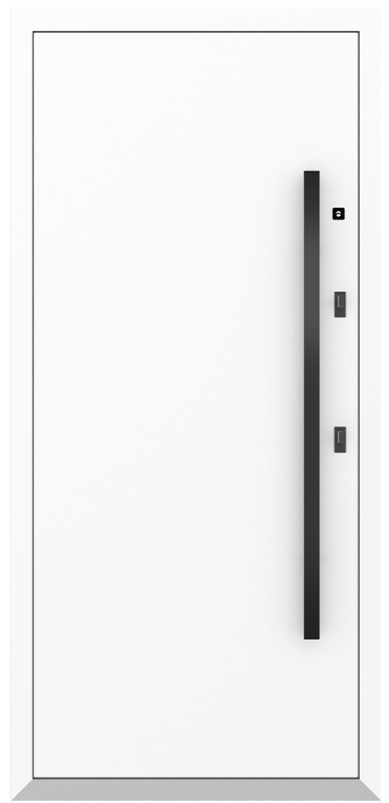 Входная дверь 