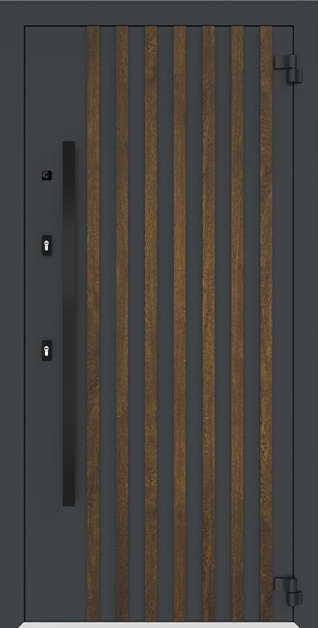 Входная дверь 