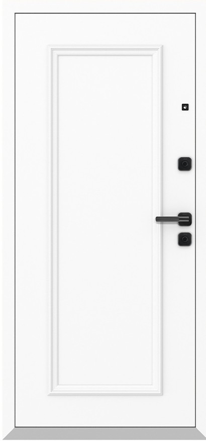 Входная дверь 