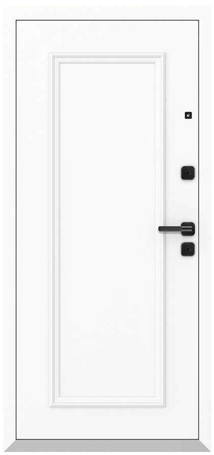 Входная дверь 