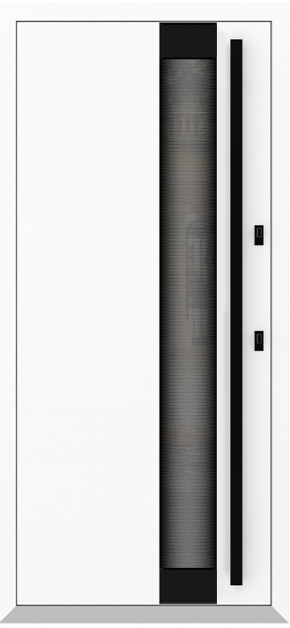 Входная дверь 