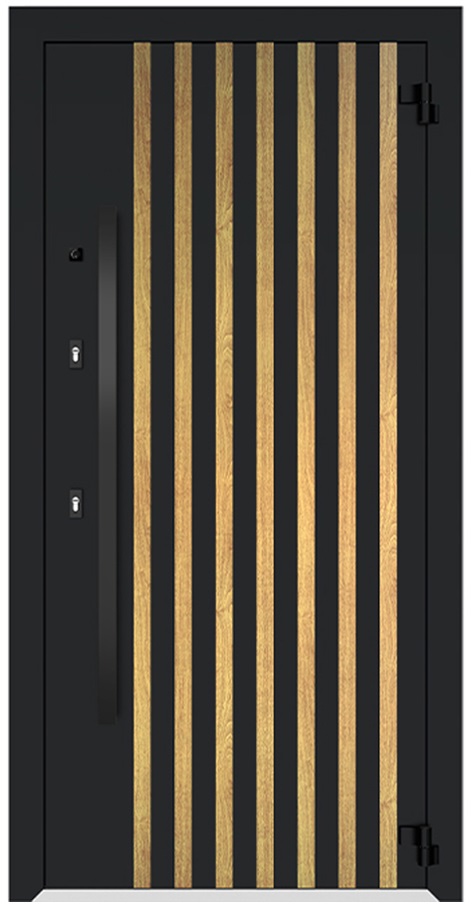 Входная дверь 