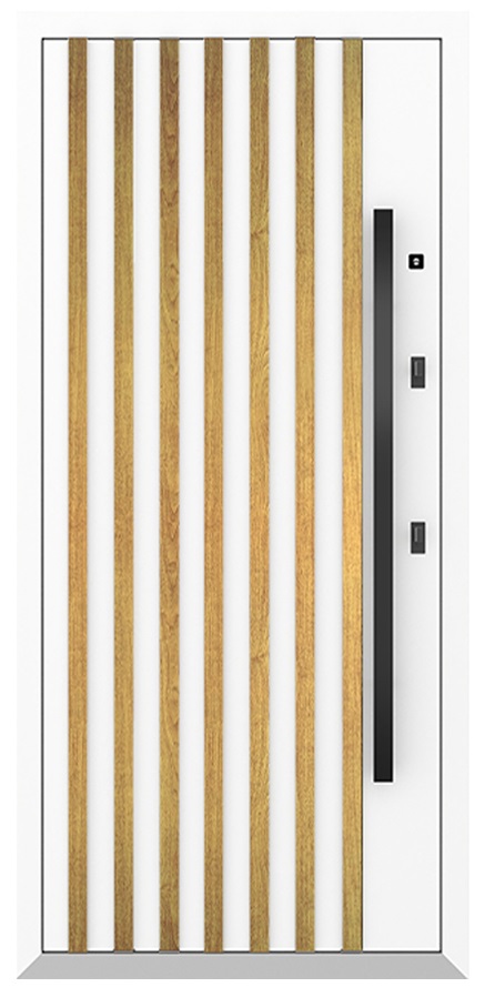 Входная дверь 