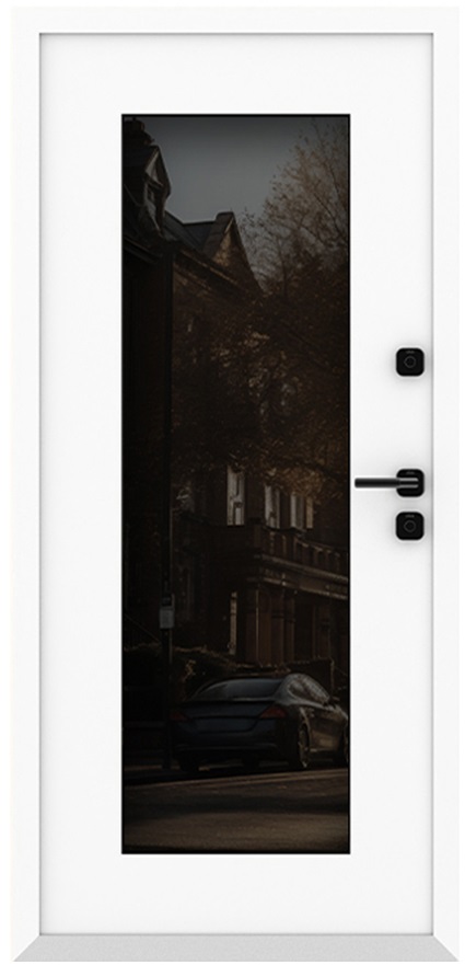 Входная дверь 